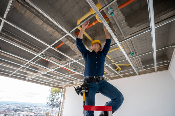 Best Plumbing Inspection Services  in Rkside, PA